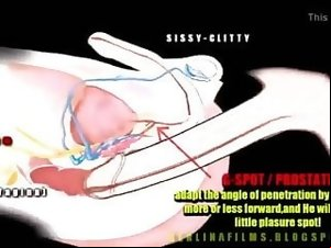 Hot transsexual anatomy-see how it works